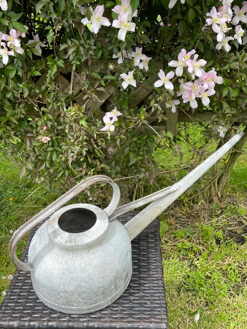 Винтажная Удобная кастрюля для полива железа деревенский готовый садовый инструмент домашний подарок сада растений заводская цена Индия