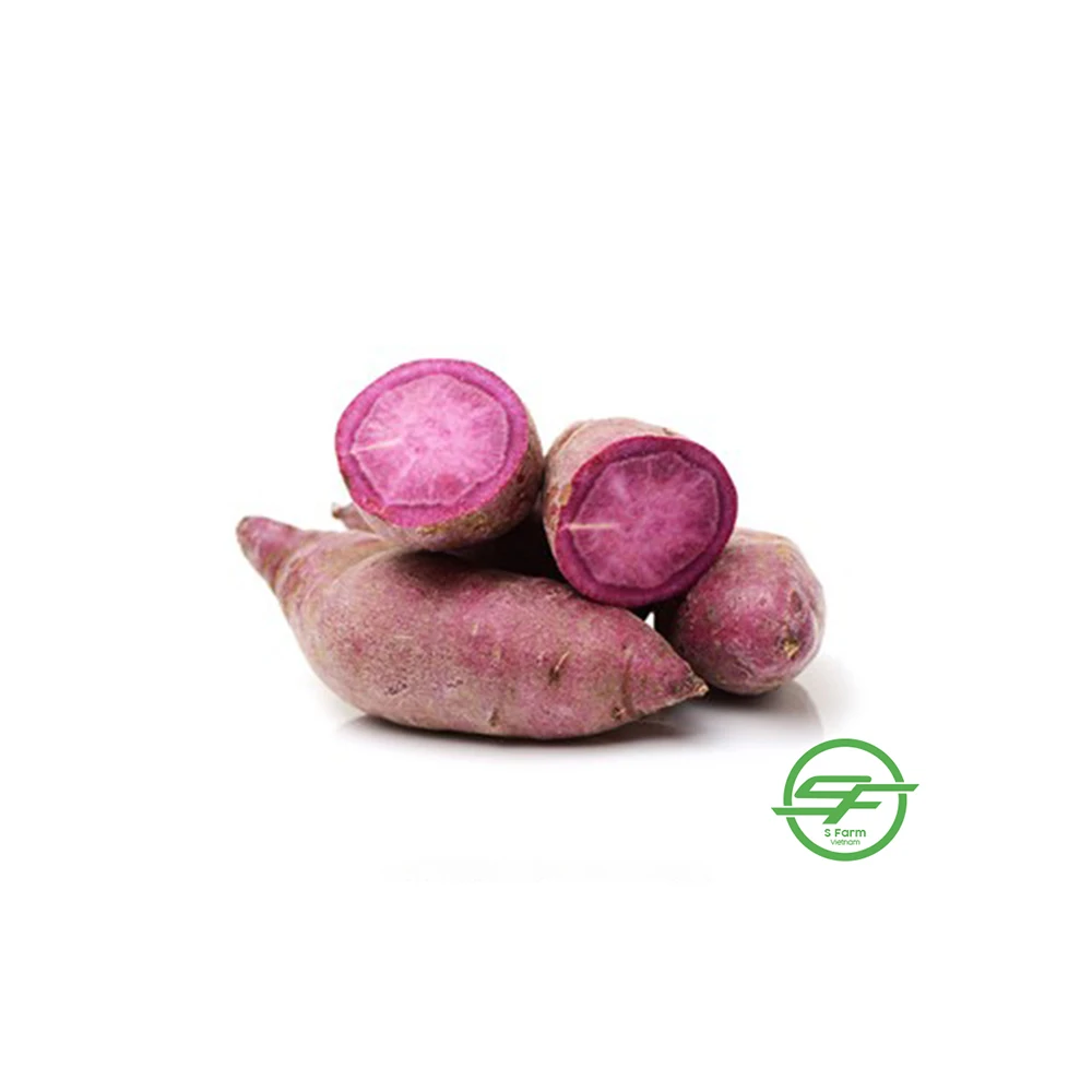 Export European market fresh sweet purple potato (10000006901011)