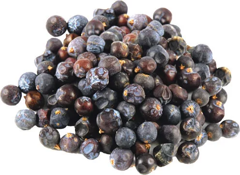 Высококачественные ягоды можжевельника отдельные травы и специи сушеные сырые ИСО консервированные с масляным кошерным халяльным сертифицированным рисунком душистого перца