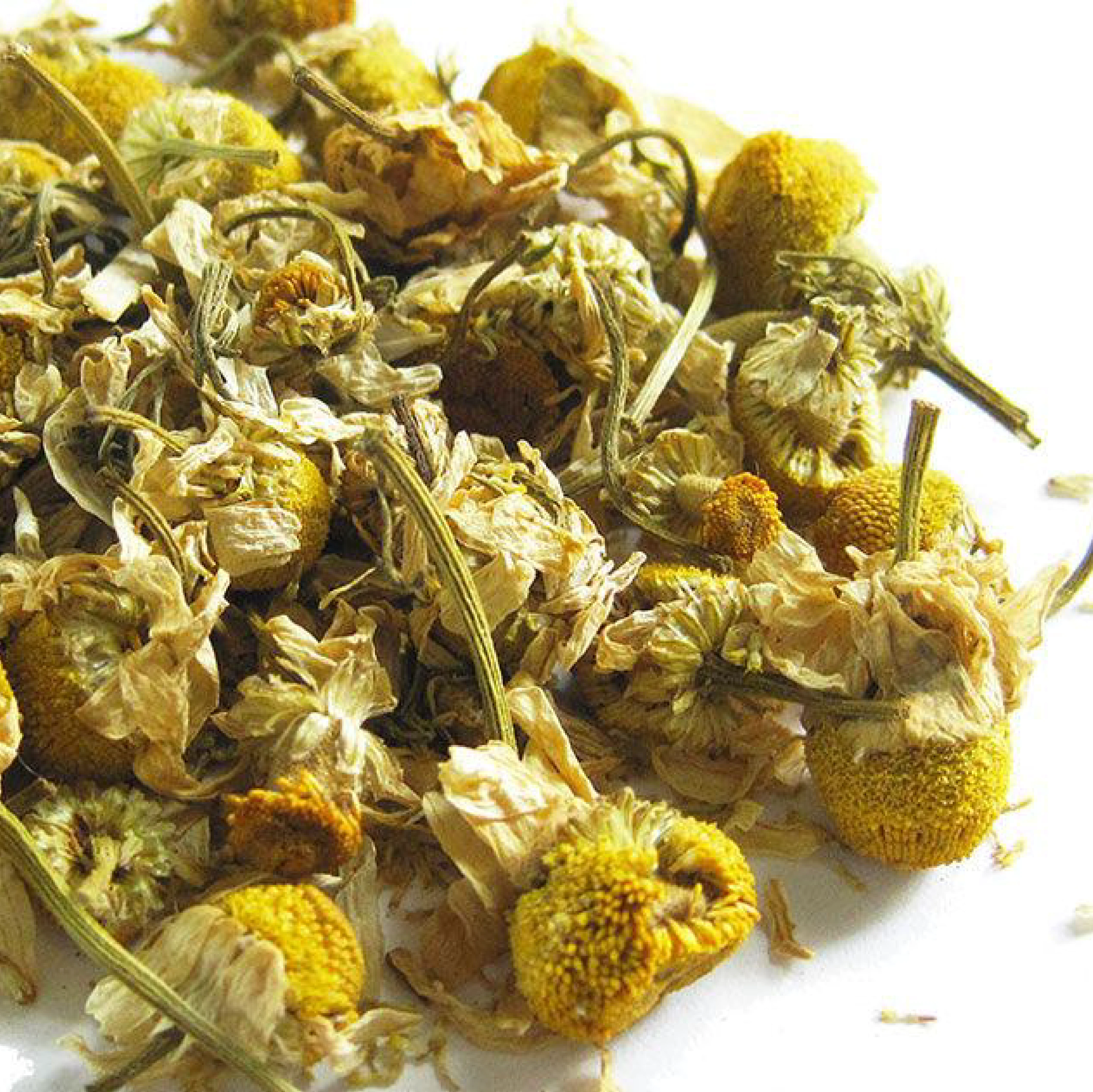 Organic Chamomile USDA & EU Organic Certified Premium Herbal Organic Chamomile Tea Wholesale From Thailand