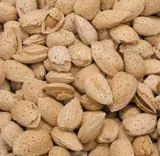 Raw Almonds (In Shell)