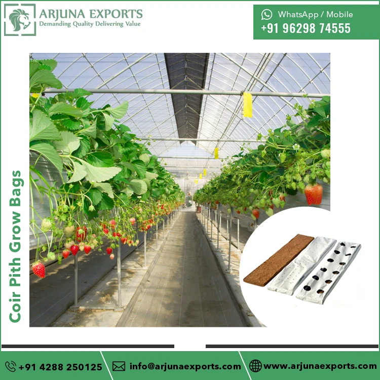 Bulk Quantity Coco Coir Pith Substrate Grow Bags for Home Greenhouse Planters and Balcony Strawberry Cultivation