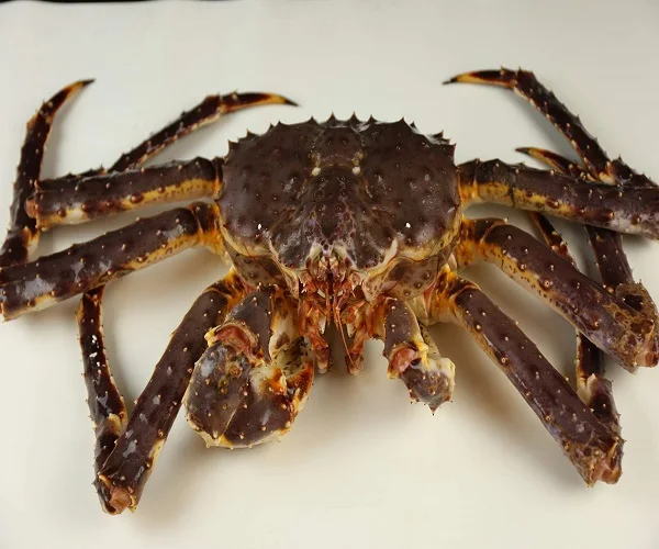 Красный королевский Краб из Аляски сертифицированный Королевский краб