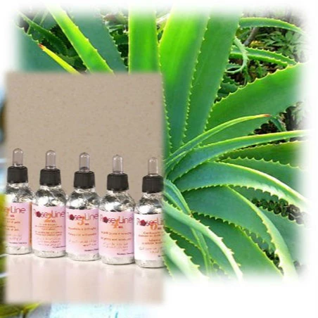
Italy made natural cosmetics based on organic skin care Aloe vera gel fluids with extra virgin olive oil 