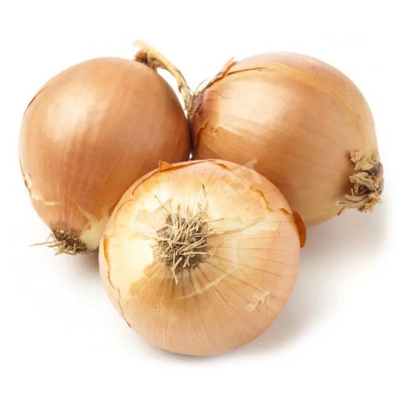 Цельный свежий лук для экспорта