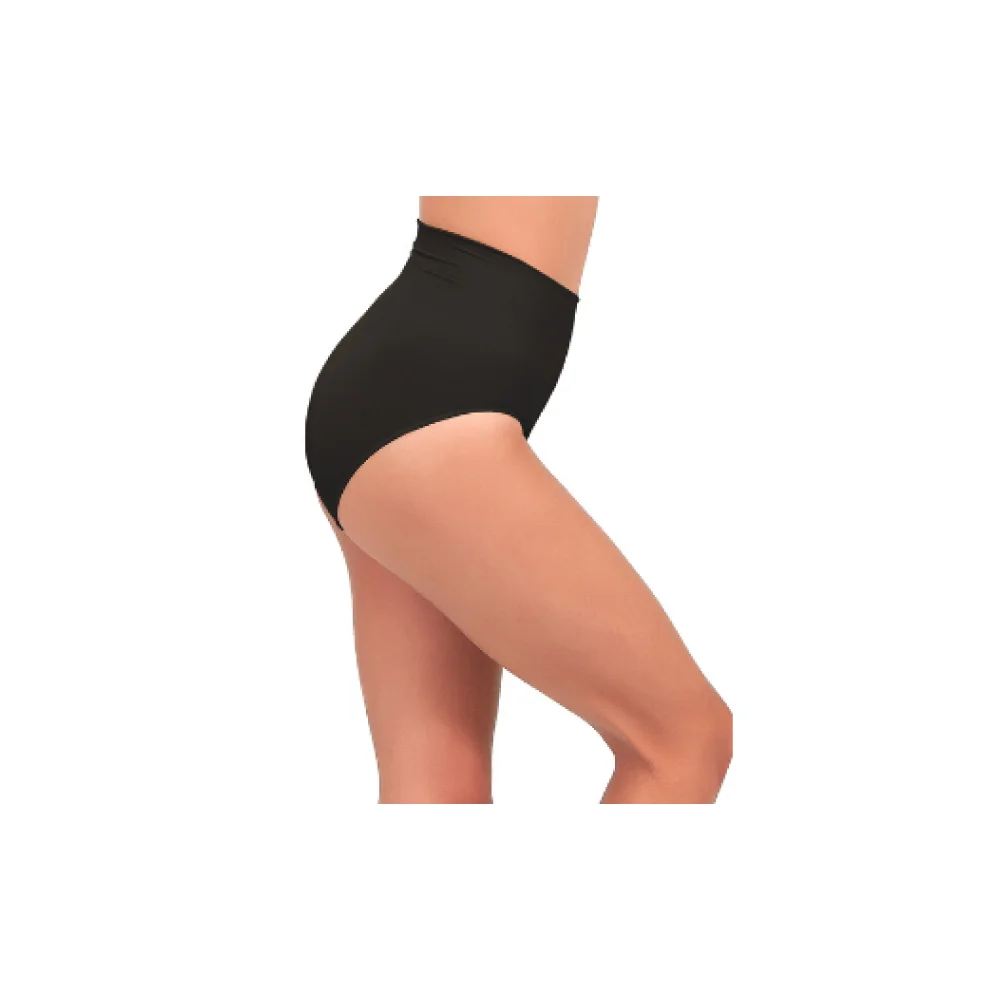 Wholesale Seamless Corset Brief Panty (Hi-Cut)