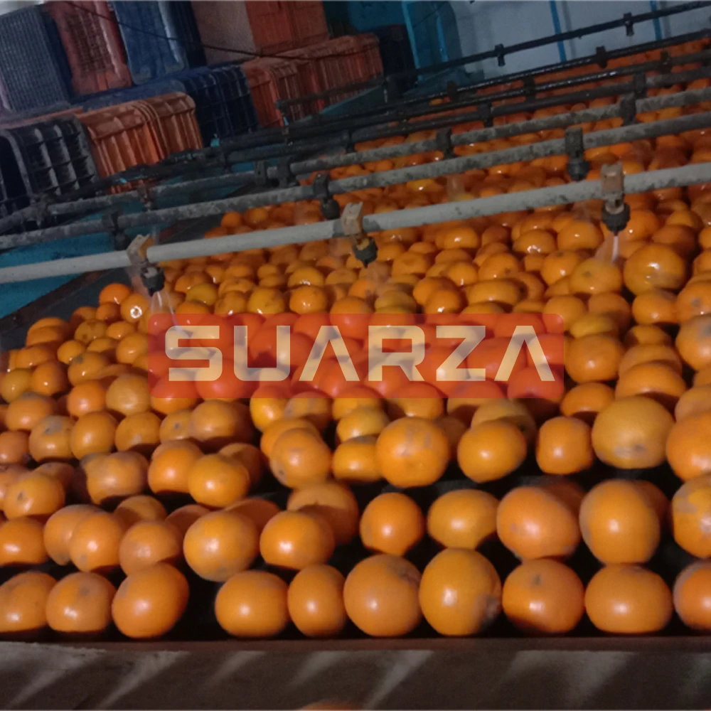 Пакистанский продукт пакистанский свежий мандарин