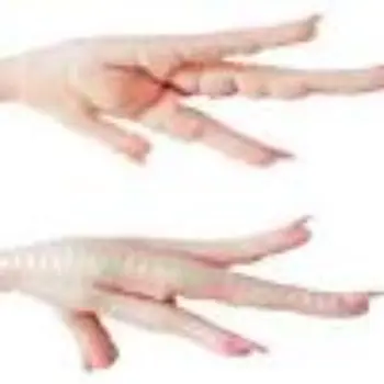 
Halal Chicken Feet Frozen Chicken Paws Brazil For Export 