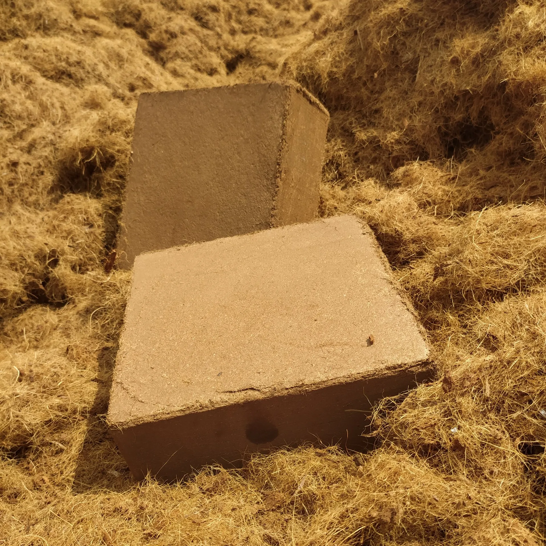 Cocopeat 5kg Bales High Quality Brand Manufacturer Best Seller Efficiency For Agriculture Good Price Low MOQ