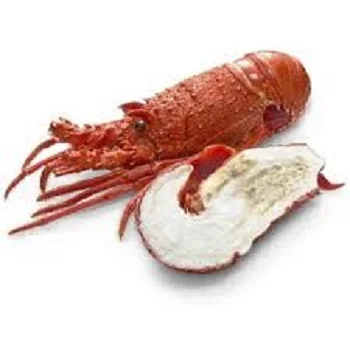 Red claw live frozen lobster(crayfish) for sale