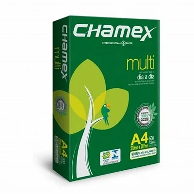 chamexx a4.jpg