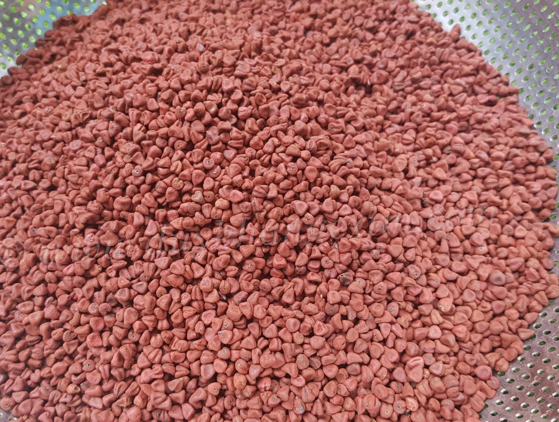 Высокая Пищевая ценность 100% чистый и свежий сырой поставщик семян Аннато/Hana