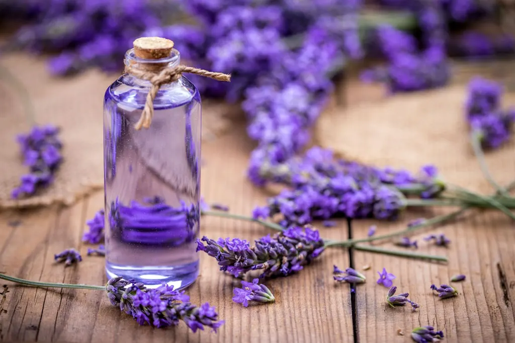 
100% Natural and Pure Bulk Manufacturer 100% Natural & Pure Lavender Essential Oil for Sale in Bulk 