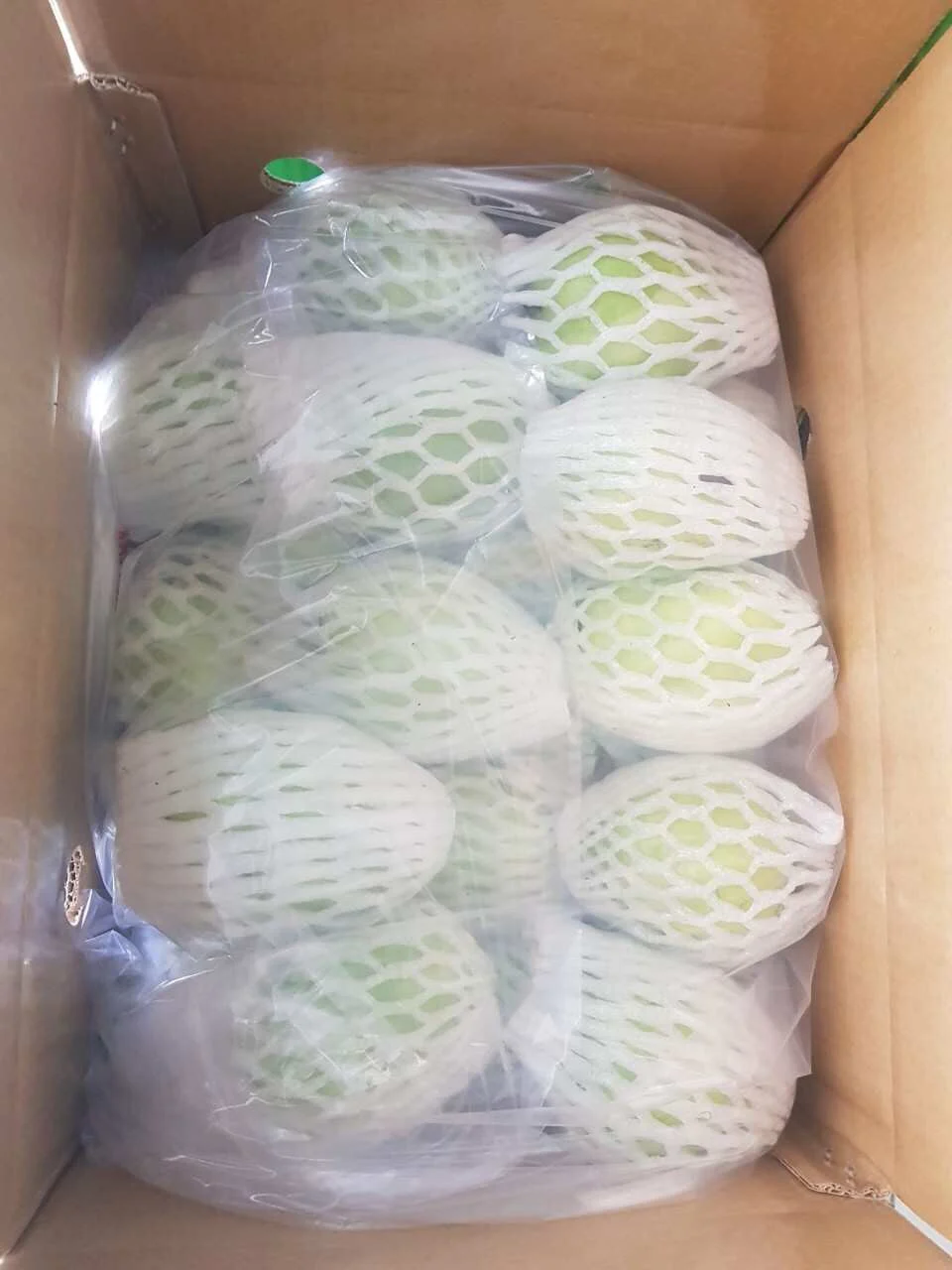 
FRESH GUAVA FRUIT SWEET BEST PRICE HIGH QUALITY FROM VIKAFOODS (WhatsApp/ Wechat: +84 983 028 718) 