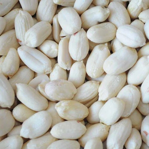 Peanuts with shell / kernel peanut / Red Peanut,blanched Peanut Kernels,Bold Peanuts Blanched Raw