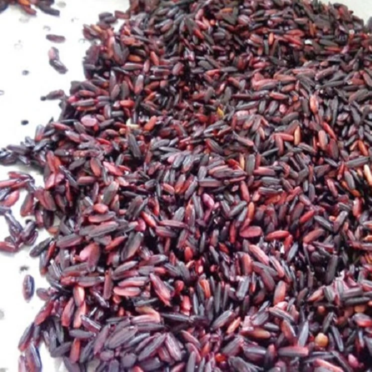 Organic Long Grain Purple Rice Fragrant Dried Sticky Rice Good for Diabeters and Dieters