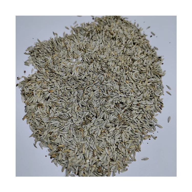 High Quality Clean Material Lettuce Seeds Herbs for Wholesale Bulk Buyers