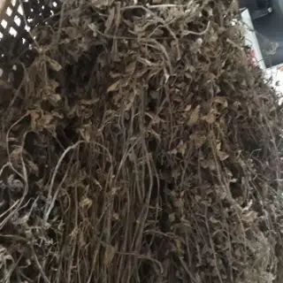 food grade for jelly and pudding for sale hot selling Dried Grass Jelly price MR PORTER +84896612931