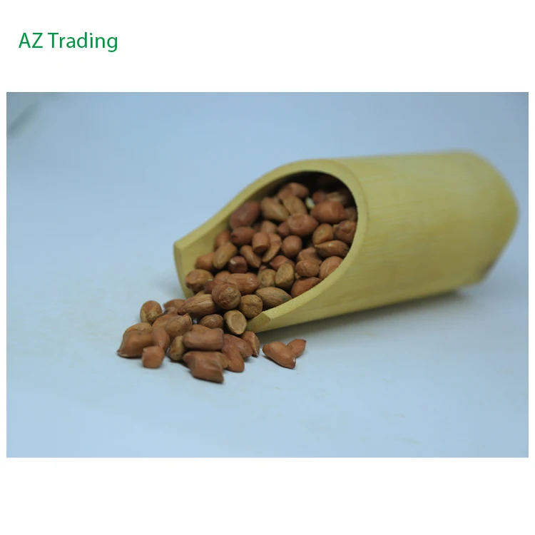 African Supplier Bulk Selling Huge Demand Quality Fresh Red Skin New Crop Peanuts
