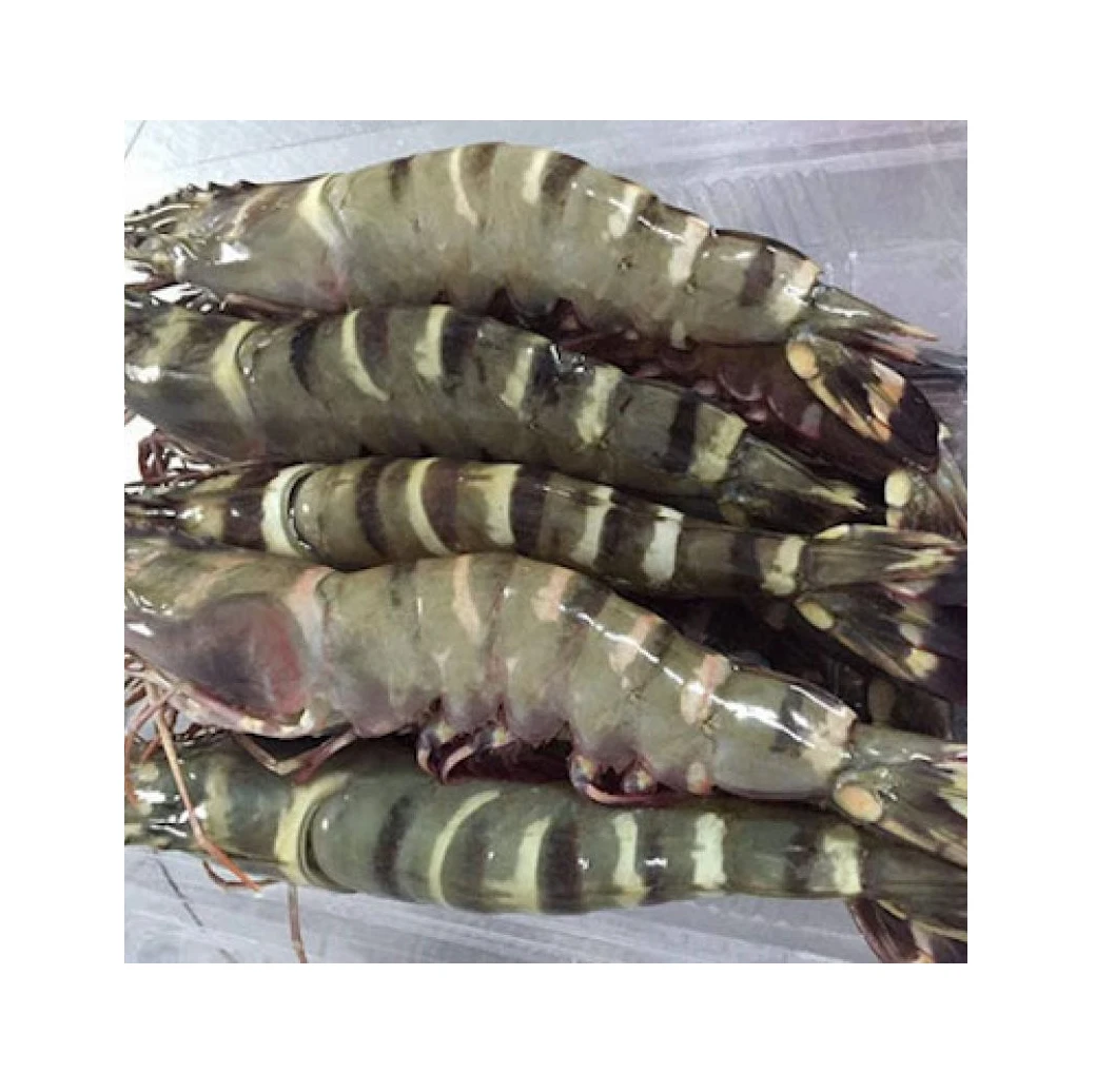 Top Premium Raw Headless Shell - On Black Tiger Shrimp - Vietnam black tiger shrimp