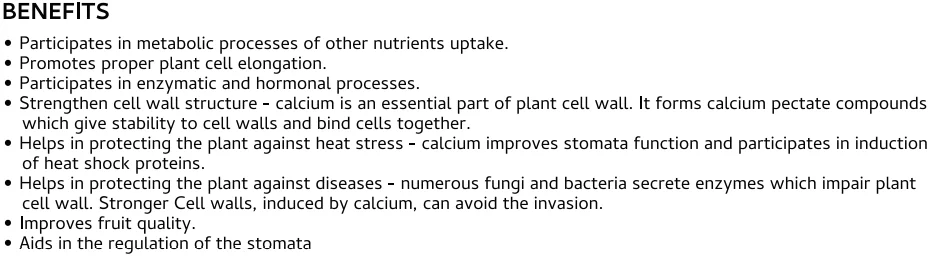 Screenshot (1253).png