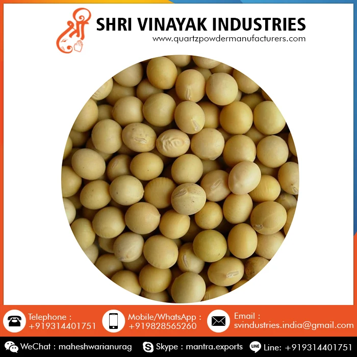 Top Sale Good Quality Organic Soybean Seed at Wholesale Price