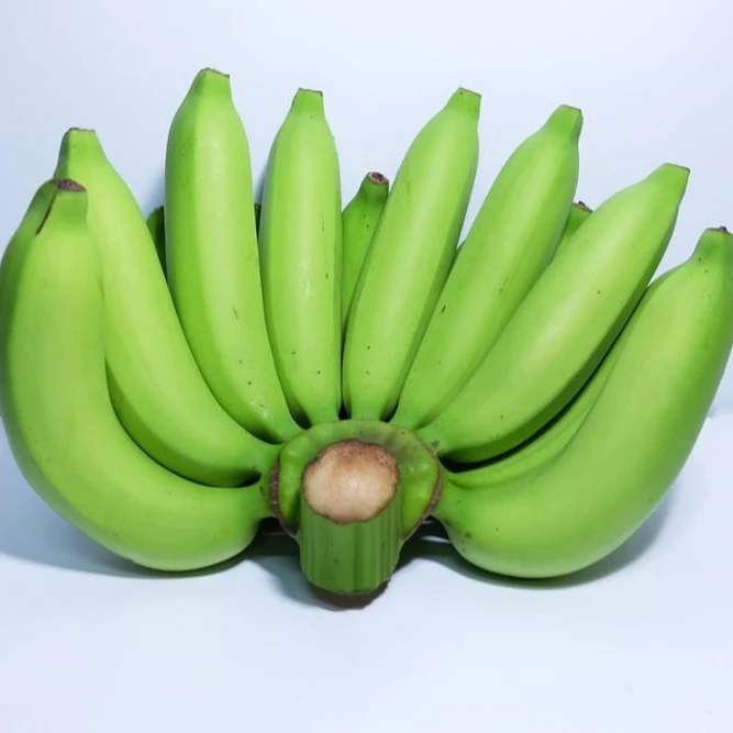 Green Cavendish Banana