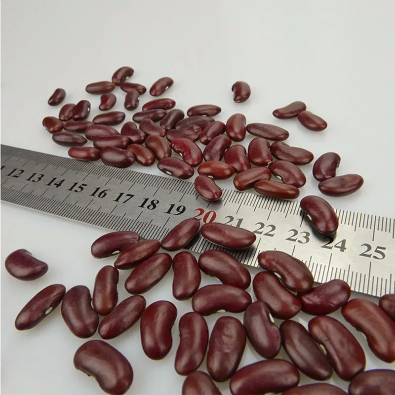 Wholesale High quality LSKB light kidney bean,Pinto beans