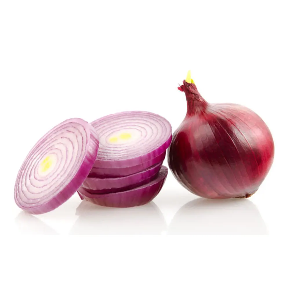 New Season Factory Direct Supply 100% Top High Quality Cheap Price Fresh Vegetable Large size Onion For Sale