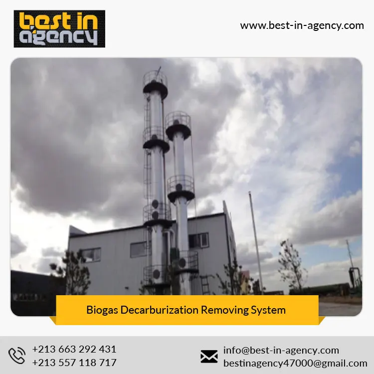 Natural Gas Water Removal Biogas Purify Decarburization/CO2 Removing System Manufacturer