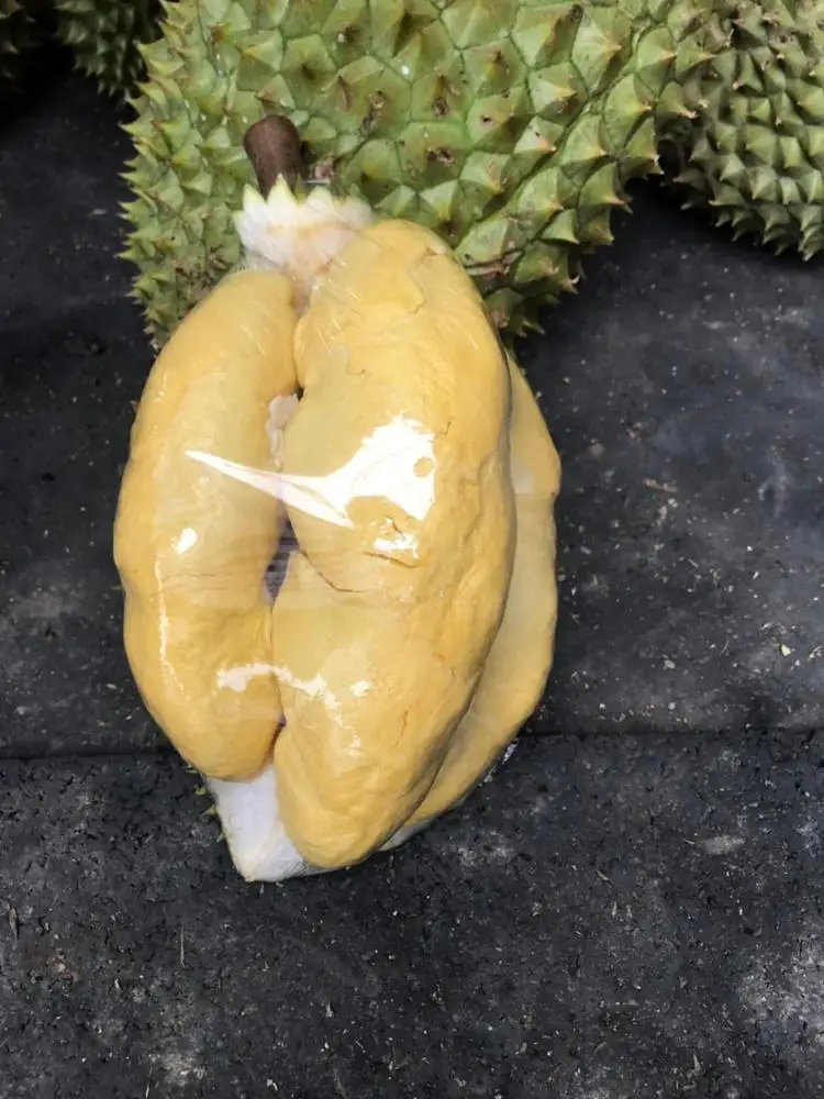 
Fresh fruit DURIAN with high quality 