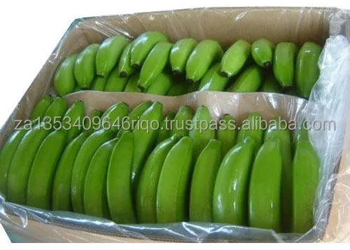 green-banana.jpg
