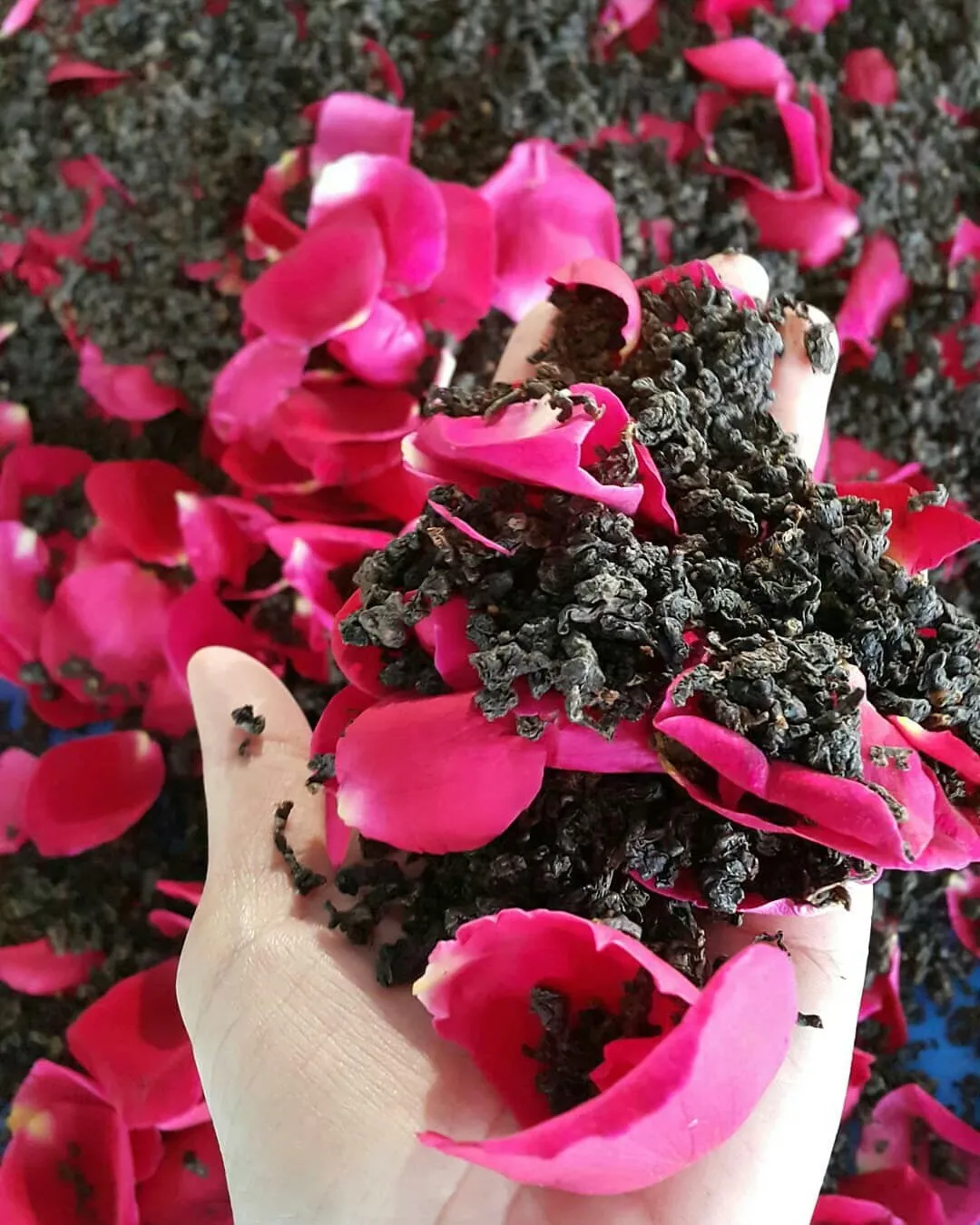 Organic Rose Red Tea Bulk Tea for female Skin Care