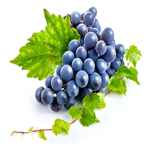 USA 2021 Superior seedless Champagne Grapes for Sale (Fresh)
