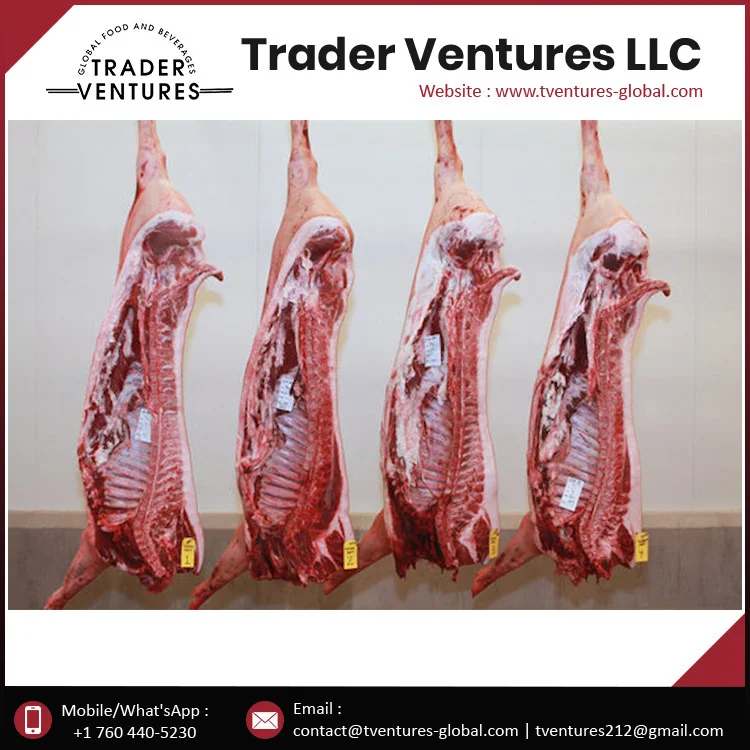 Frozen Pork Bondiola Brazil Origin