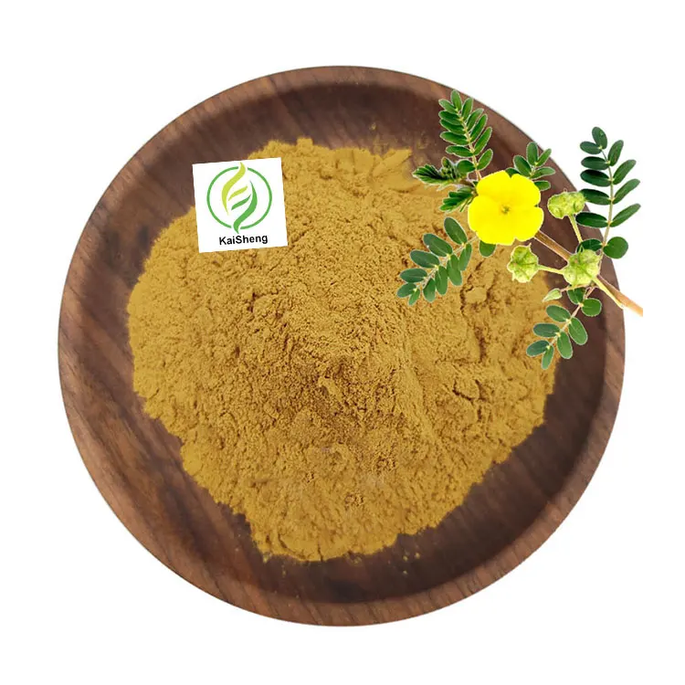 Оптовая продажа 90% добавки сапонинов экстракт Tribulus Terrestris порошок