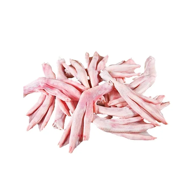 Hot Sell Highly Nutritious Good Quality Halal Fresh Frozen Duck Feet/ Paws