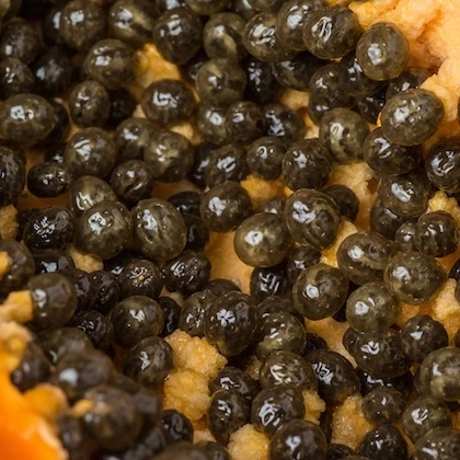 
AWESOME QUALITY HYBRID PAPAYA SEEDS , 100% NATURAL FRUIT 