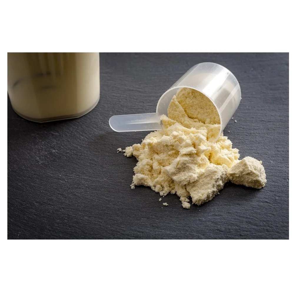 
Premium Quality Casein Protein Powder At Wholesale Price In Bulk Quantity 