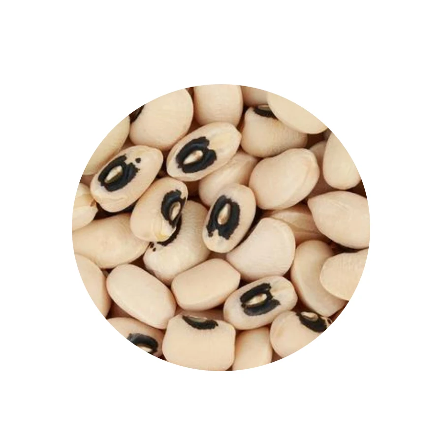 Super Quality Sparkling Black Matpe /Black Mapte Urdad /Black Matpe Bean