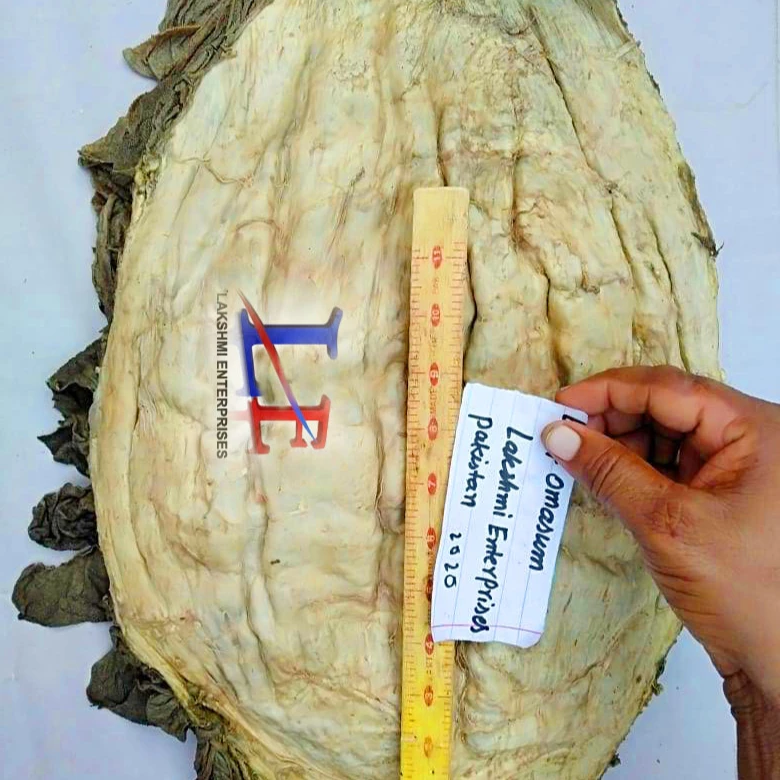 
beef omasum AA A B frozen tripe salted beef 