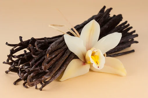 Wholesale Best Quality Vanilla Beans For Sale In Cheap Price