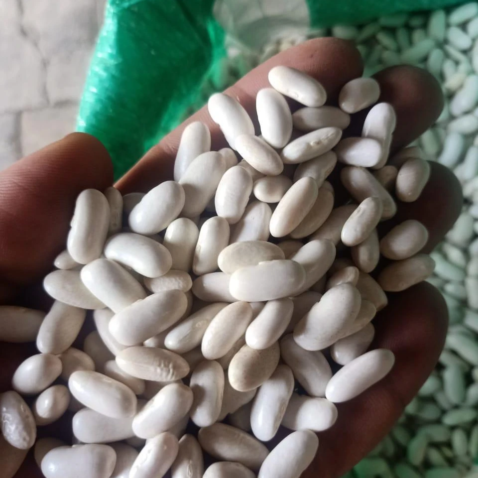 
white kidney beans with European specifications 