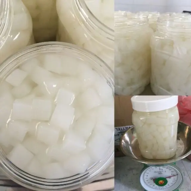 NATA DE COCO/ COCONUT JELLY WITH BEST PRICE FROM VIETNAM/MS.THI NGUYEN +84 988 872 713