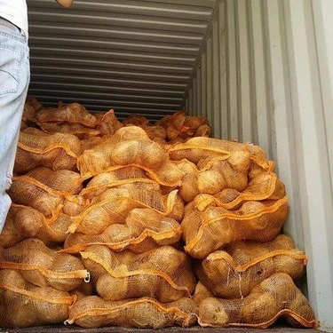 Полуочищенный свежий кокос