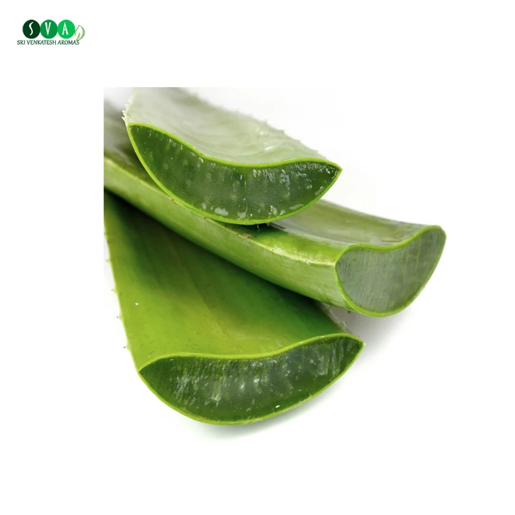Wholesale 100% Pure Natural Organic Aloe Vera Oil from Indian Manufacturer
