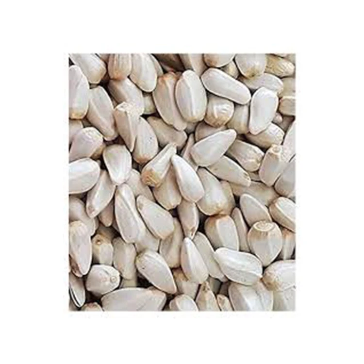 Natural and Well Dried Material White Safflower