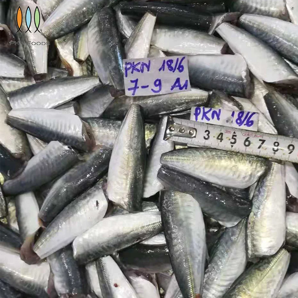 Scad Fish BLOCK Frozen Seafood Seasonal Whole Body Decapterus Maruadsi Round Scad HGT with Box Packaging