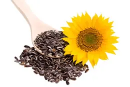
Wholesale Sunflower Seeds Kernel / Peeled Sunflower Seeds 