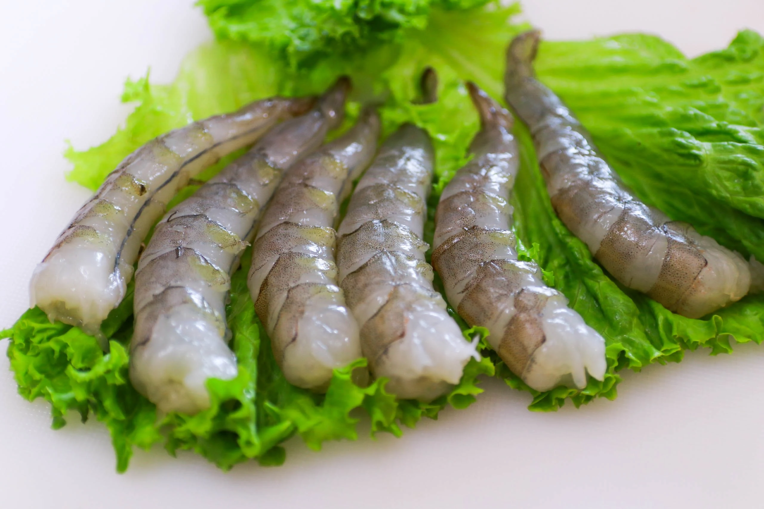 Wholesale Vietnam Seafood Frozen Vannamei Shrimps FD With Cheap Price  White Prawns For Export